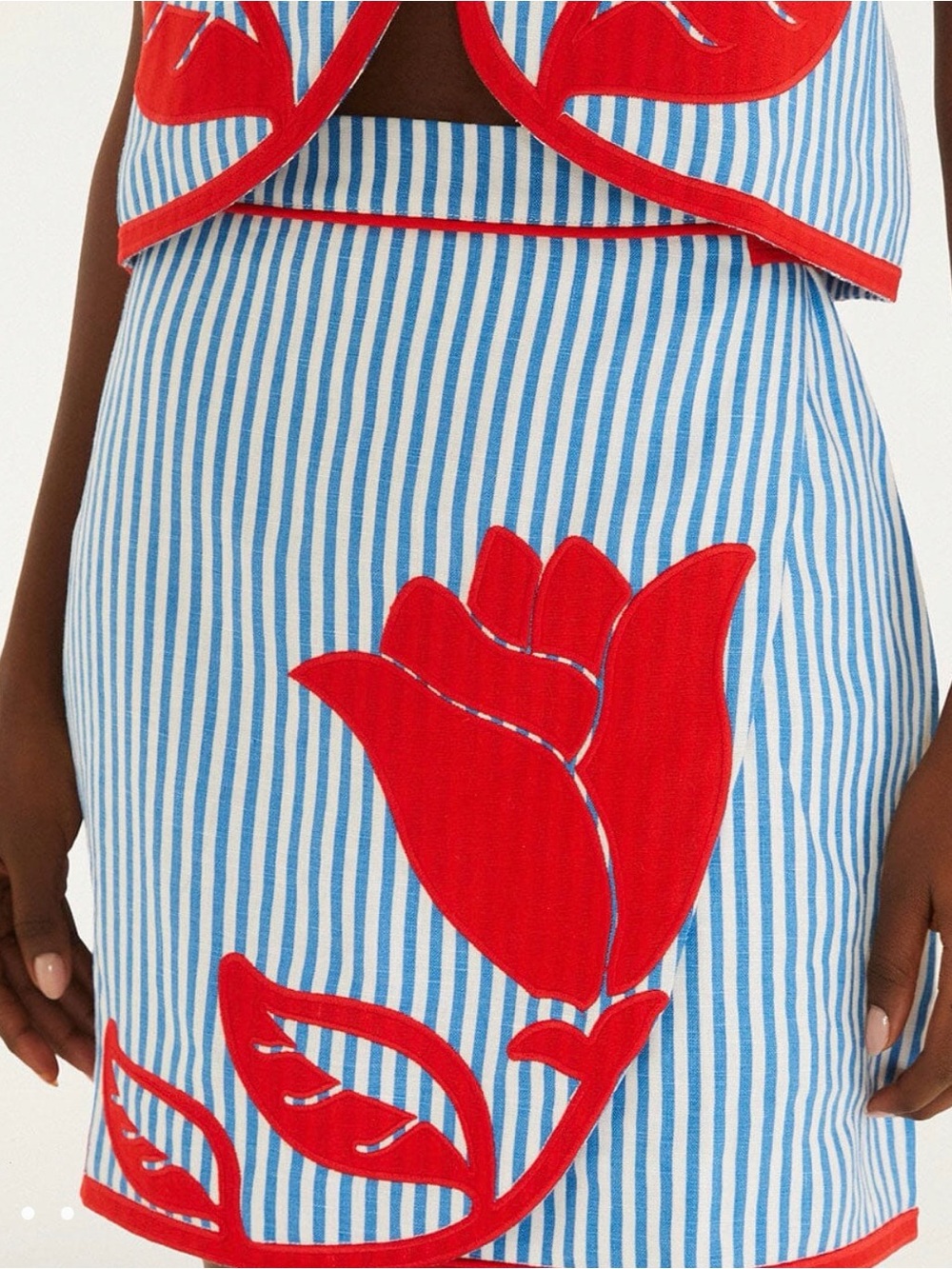FARM Rio Blue & White Striped Mini Skirt with Red Floral Appliqué